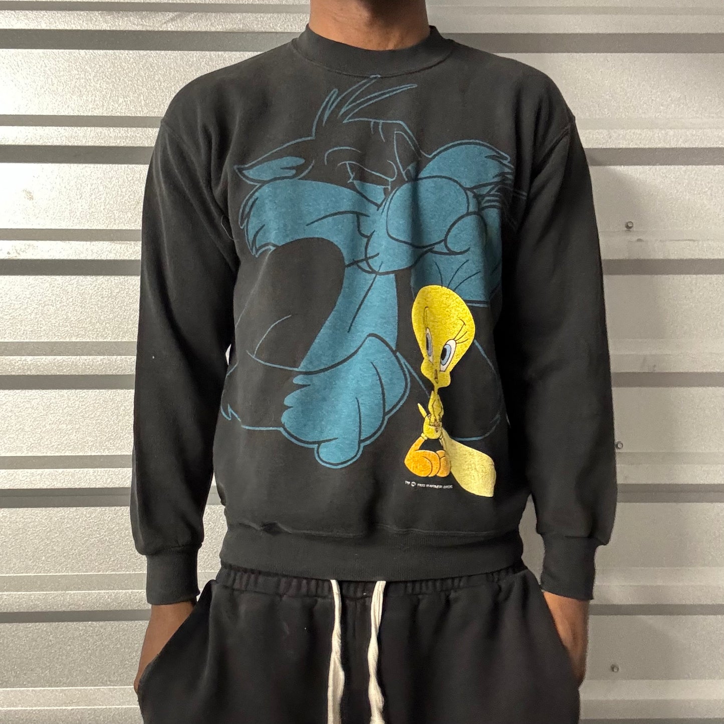Vintage 90s Looney Tunes Crewneck