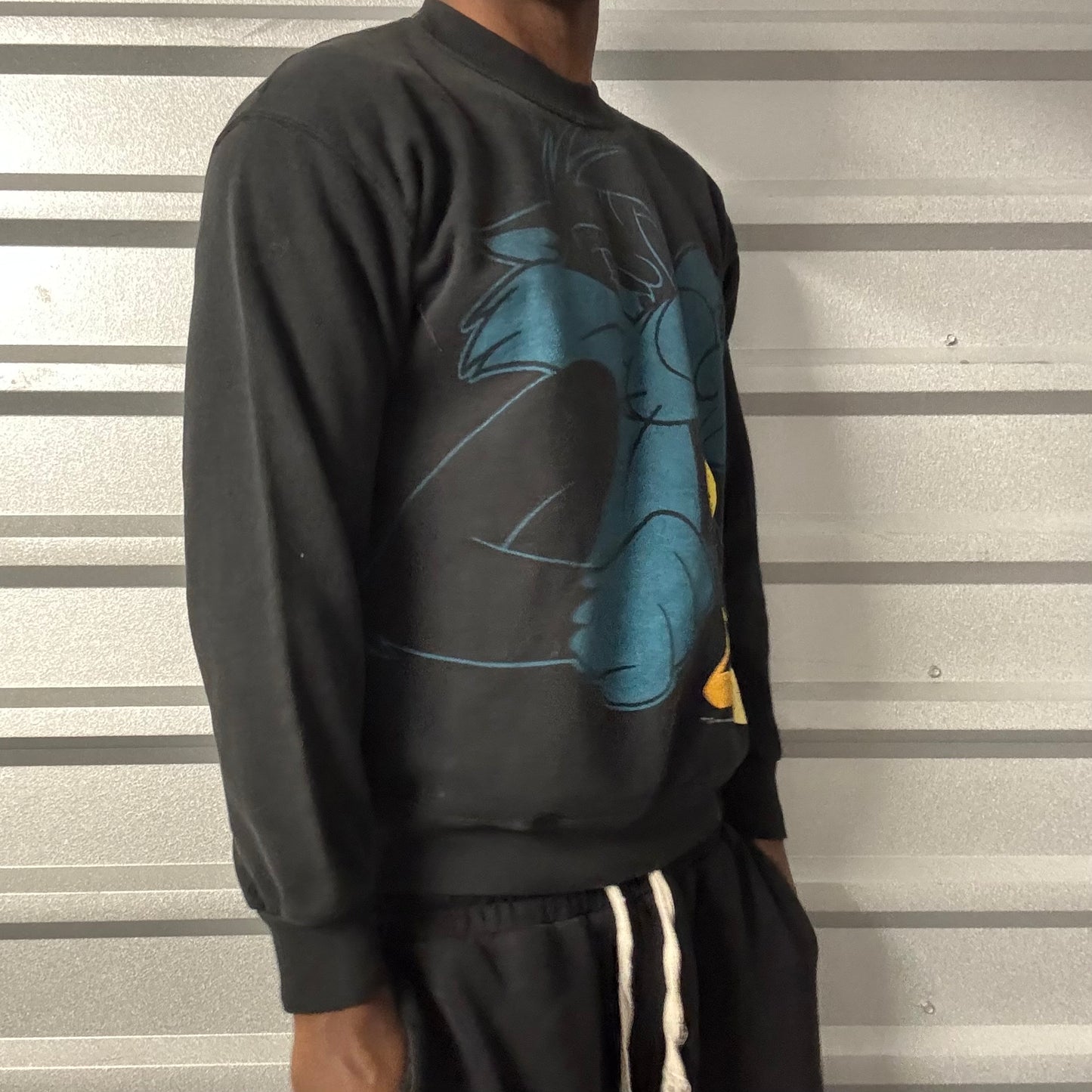 Vintage 90s Looney Tunes Crewneck
