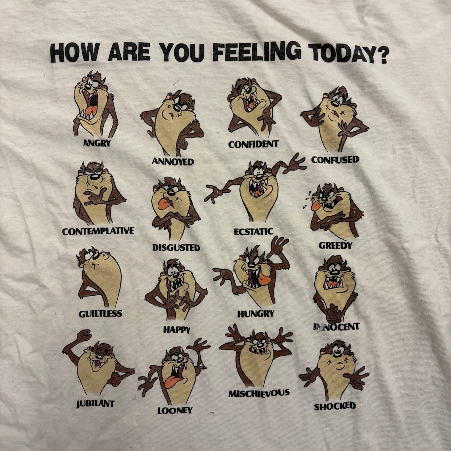 Vintage 90s Taz Tee